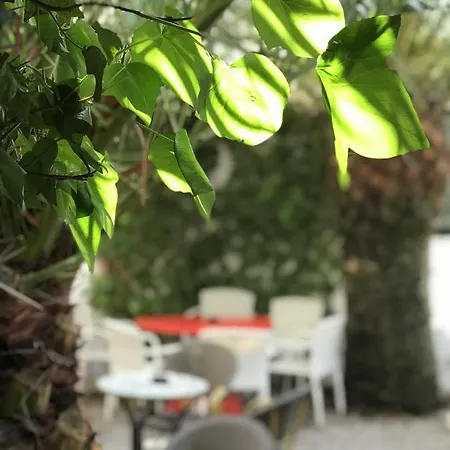 Vostra Llar Palamós