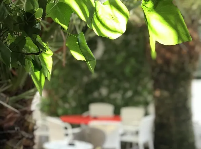 Vostra Llar Palamós