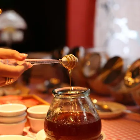 Hotel Vostra Llar 3*